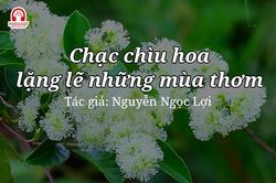 Tản văn hay: Chạc chìu hoa lặng lẽ những mùa thơm