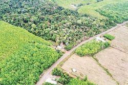 Đồng Nai tập trung phát triển giao thông nội tỉnh, kết nối vùng