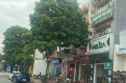 Thông tin kết quả xác minh vụ việc Thẩm mỹ trị liệu Dược sỹ Thanh Tuyền ở Hải Phòng