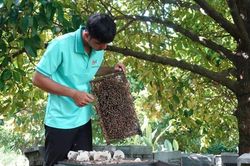 Khởi nghiệp thanh niên nông thôn 2025: Nhiều dự án phát huy tài nguyên bản địa, bảo vệ môi trường