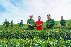 Sáng tinh thần xung kích và kiến thiết trong lực lượng Thanh niên xung phong Nghệ An