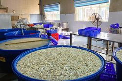 Phát hiện hơn 13 tấn chân gà ngâm hóa chất chuẩn bị tuồn thị trường