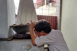 Dịch bệnh diễn biến phức tạp tại Hà Nội: Viêm não Nhật Bản 'tái xuất', Covid-19 và sốt xuất huyết tăng nóng