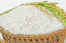 Giá lúa gạo hôm nay 15/7: Gạo nguyên liệu nhích nhẹ, Việt Nam duy trì lợi thế xuất khẩu