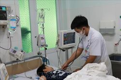 Trẻ mắc sốt xuất huyết liệu có dễ biến chứng nặng?