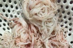 Vì sao bún chuyển sang màu đỏ bất thường sau vài giờ mua ở chợ Đà Nẵng?