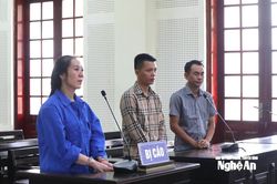 Bí mật trong những thùng hàng đựng cacao và mật ong gửi từ Nam ra Bắc