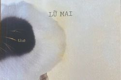 Lữ Mai đưa nhau về cũ