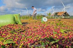 Một doanh nghiệp nhận ký gửi nông sản bị tố chiếm đoạt số tiền 'khủng'