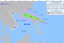 Nghệ An ra công điện ứng phó với áp thấp nhiệt đới có thể mạnh lên thành bão và mưa lớn diện rộng