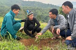 Nhiều hộ dân 'nghèo kỹ năng lao động'