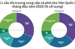 Cà phê Việt xuất sang Hàn Quốc tăng 54% về kim ngạch