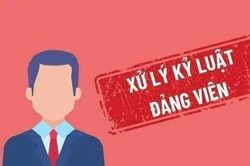 Bộ Chính trị, Ban Bí thư xem xét, thi hành kỷ luật đảng viên vi phạm