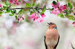 Sinh đúng ngày, số mệnh đổi khác: Ngày sinh Âm lịch của người bản lĩnh, vững vàng trước nghịch cảnh