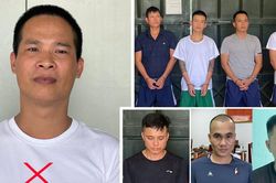 Băng nhóm tội phạm do Bùi Quốc Ý cầm đầu núp bóng doanh nghiệp để can dự vào các hoạt động đấu thầu