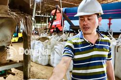 Biến 'rác tràm'… thành tiền