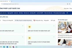 Số hóa cẩm nang tư pháp tại chính quyền địa phương 2 cấp trên Cổng Pháp luật quốc gia