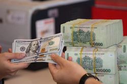 Tỷ giá USD hôm nay 19/7: Đồng bạc xanh điều chỉnh trái chiều trong nước và quốc tế