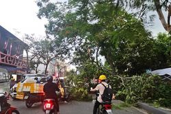 Hải Phòng chủ động ứng phó cơn bão số 3 WIPHA