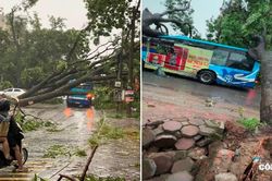 Hà Nội: Cây đổ đè xe buýt khi mưa lớn, gần 20 người thoát nạn