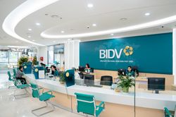Lãi suất tiền gửi ngân hàng BIDV tháng 7/2025: Cao nhất đạt 4,9%/năm