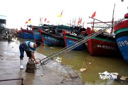 Nghệ An kêu gọi các chủ của 785 tàu cá đang hoạt động trên biển khẩn trương về bờ tránh trú bão số 3