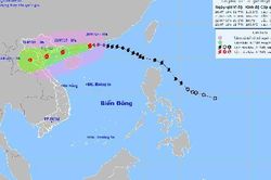 Thủ tướng: Kiểm soát chặt việc đi lại trong bão, cấm biển nếu cần thiết