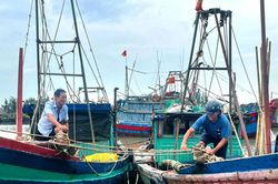 Ninh Bình: Tạm dừng các cuộc họp không thật cần thiết để tập trung ứng phó với bão số 3