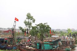 100% tàu thuyền Ninh Bình đã về nơi neo đậu để tránh trú bão an toàn