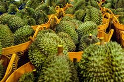 Giá sầu riêng và trái cây nội địa đồng loạt giảm giá sốc, người tiêu dùng trong nước hưởng lợi
