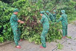 Bão số 3: Quảng Ninh khắc phục hậu quả sau khi bão đi qua