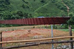 Cầu treo đứt cáp, ô tô chở 3 người rơi thẳng xuống sông