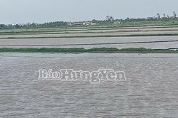 Hưng Yên: Tập trung khắc phục thiệt hại do bão số 3 gây ra, sớm đưa các hoạt động trở lại bình thường