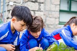 Giáo dục Hong Kong đón đầu AI: Cân bằng công nghệ và kỹ năng mềm