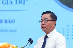 Khi giá gạo thoái trào: Nông sản Việt cần chiến lược bền vững hơn