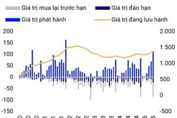 Áp lực đáo hạn trái phiếu tăng mạnh vào cuối năm với gần 150 nghìn tỷ đồng