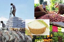 EVFTA – Động lực cải cách thể chế và định hướng phát triển xanh