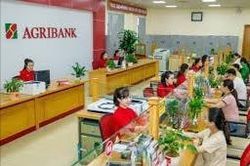 Agribank chi nhánh Nam Nghệ An thông báo tuyển dụng lao động đợt 1 năm 2025