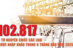 Infographics: 102.817 ô tô nguyên chiếc các loại được nhập khẩu trong 6 tháng đầu năm 2025