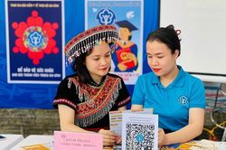 Quy định mới nhất về hoạt động đầu tư từ các quỹ bảo hiểm
