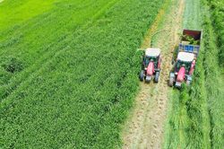 'Mở khóa tự nhiên' tại Green Farm: Mô hình sinh thái của Vinamilk truyền cảm hứng cho doanh nghiệp