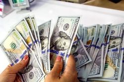 Tỷ giá USD hôm nay 29/7: Đô la Mỹ tăng mạnh, thị trường trong nước phản ứng dè dặt
