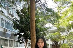 Hành trình đến giảng đường nước Mỹ
