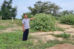 Có thể khởi kiện chủ tịch xã không tổ chức hòa giải tranh chấp đất đai không?
