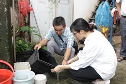 10 ca tử vong do sốt xuất huyết, lời cảnh báo với sự chủ quan