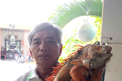 Phát triển kinh tế gia đình từ nuôi rồng Nam Mỹ