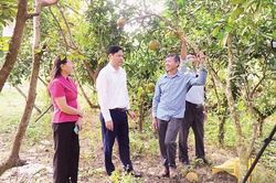 Khơi thông 'dòng chảy' tín dụng chính sách tại tỉnh Thái Nguyên