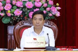 Bí thư Tỉnh ủy Nguyễn Doãn Anh chủ trì hội nghị cho ý kiến về công tác chuẩn bị Đại hội Đảng bộ 40 xã, phường