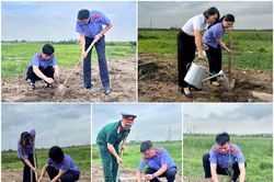 Lễ phát động trồng cây tại tuyến đường liên cơ quan khu vực 2 Quảng Ninh