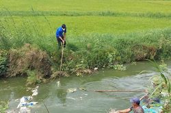 Xã Đông Trạch: Xử lý, chôn lấp hàng chục con lợn chết do dịch bệnh